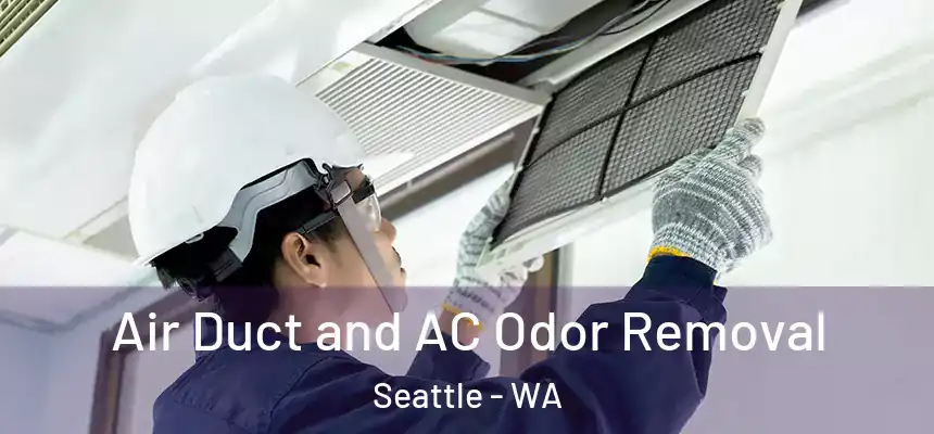 Air Duct and AC Odor Removal Seattle - WA