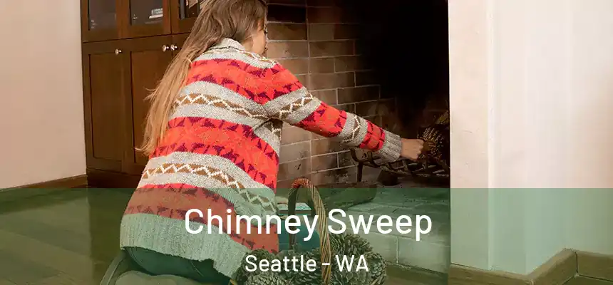  Chimney Sweep Seattle - WA