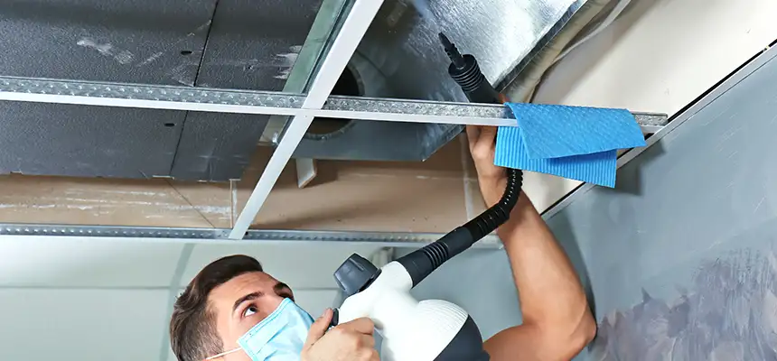 Our Air Duct Rodent Removal Services in Seattle, WA