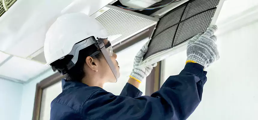 Our Mold & Mildew Removal from Air Ducts Services in Seattle, WA