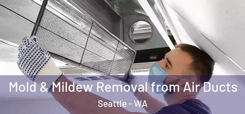  Mold & Mildew Removal from Air Ducts Seattle - WA