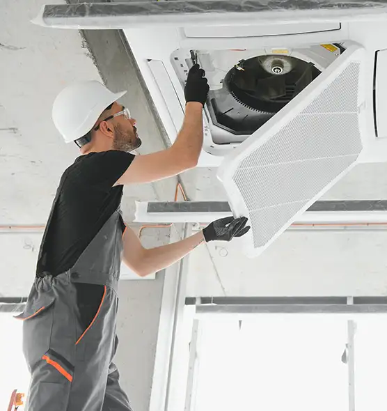 About Air Duct Rodent Removal in Seattle, WA