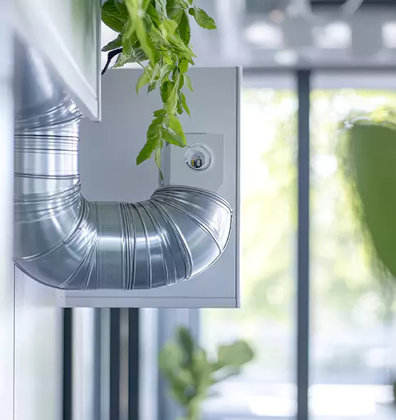 Professional Eco-Safe Dryer Vent Cleaning in Seattle, WA