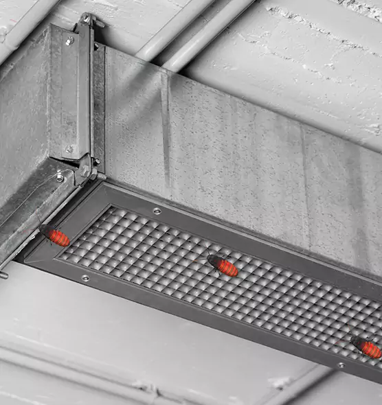 Affordable Insect Removal from Air Ducts in Seattle, WA