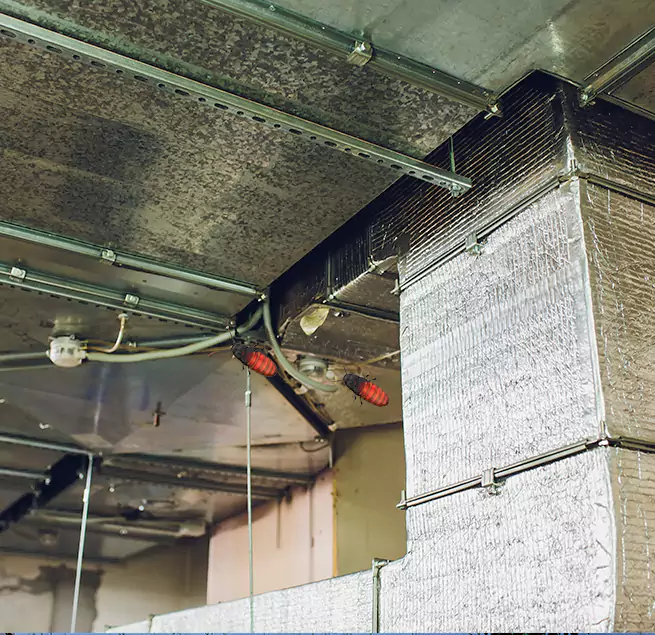 Why Homeowners & Businesses Trust Us in Seattle, WA?