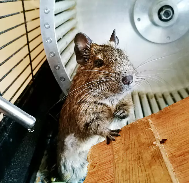 Why Homeowners & Businesses Trust Us Seattle, WA