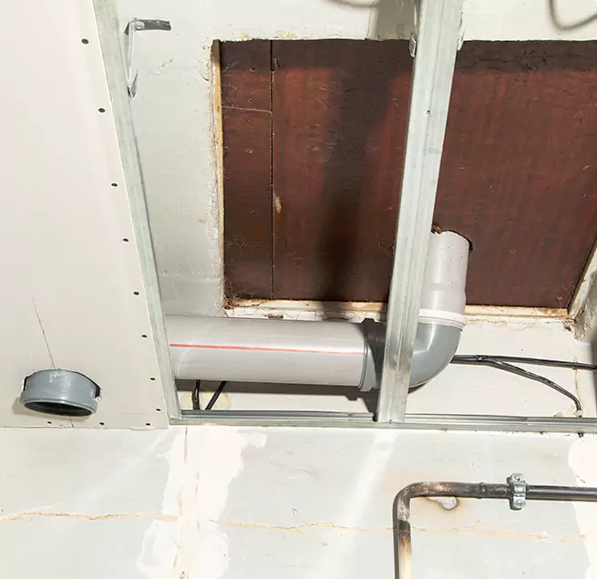 Why Homeowners & Businesses Trust Us in Seattle, WA?