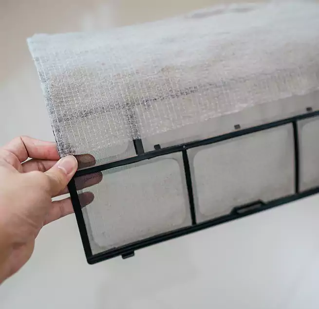 Why Homeowners & Businesses Trust Us in Seattle, WA?