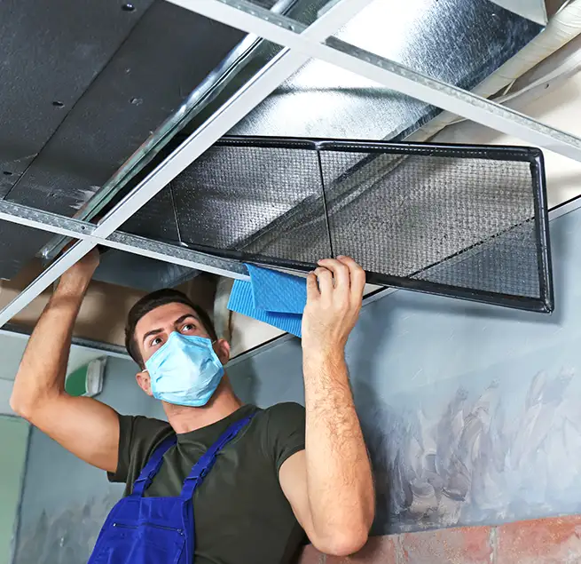 Why Homeowners & Businesses Trust Us in Seattle, WA?