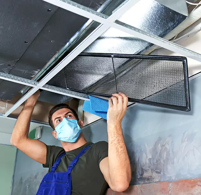  Why Homeowners Businesses Trust Us  in Seattle, WA?